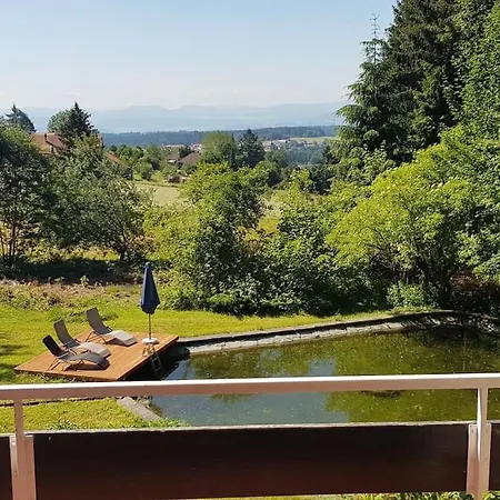 Ferienhaus Alpenblick Altenschwand Rickenbach (Baden-Wurttemberg)